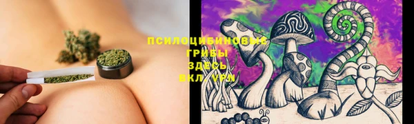 спайс Козловка