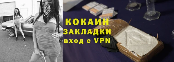 дмт Новозыбков
