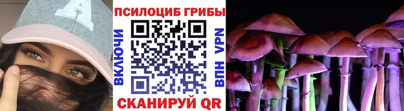 Галлюциногенные грибы мицелий где найти наркотики Ак-Довурак